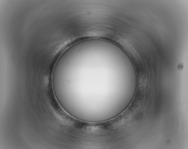 X0000091000208200708091547