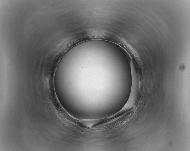 X0000091000209200708091547