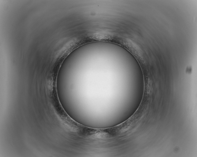 X0000091000210200708091547