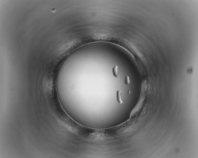 X0000091000211200708091547