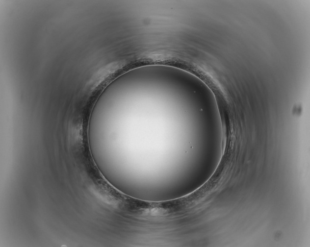 X0000091000212200708091547