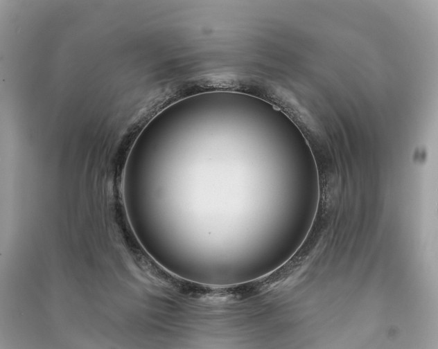 X0000091000213200708091547