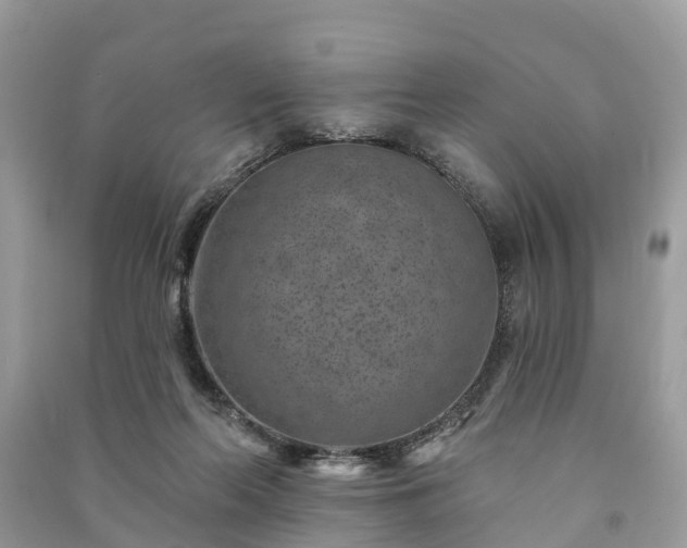 X0000091000214200708091547