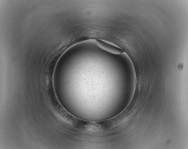 X0000091000215200708091547