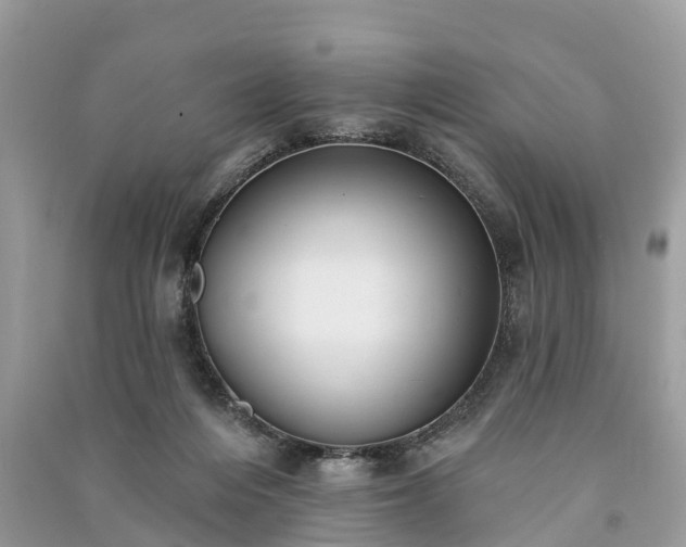 X0000091000216200708091547