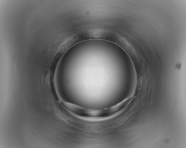 X0000091000217200708091547