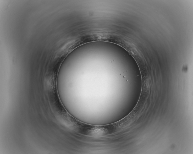 X0000091000218200708091547