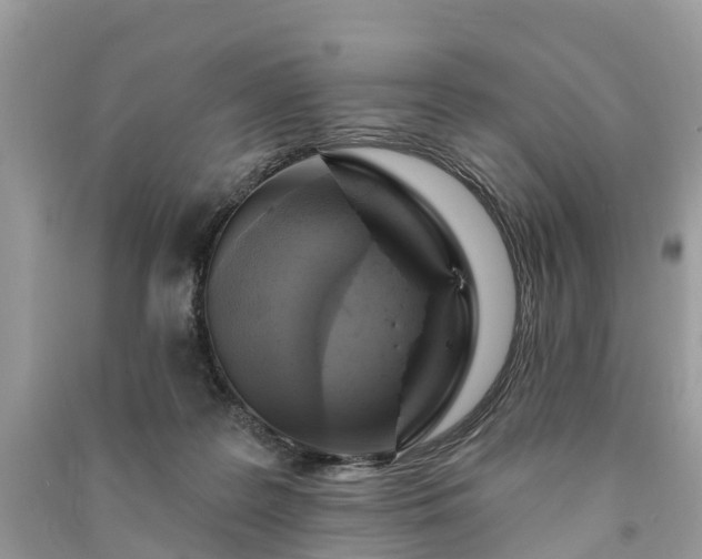 X0000091000219200708091547