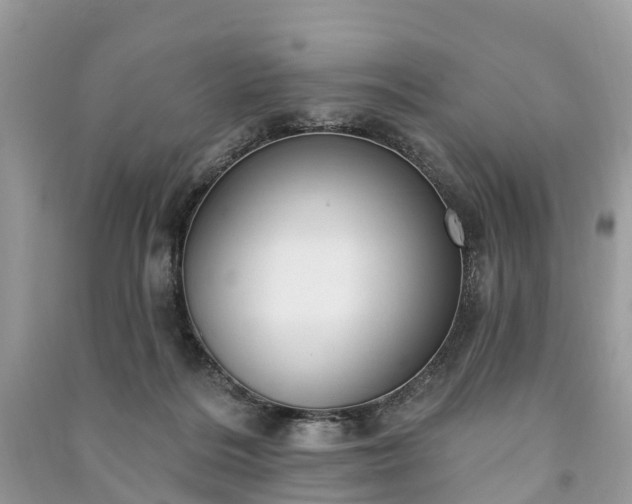 X0000091000220200708091547