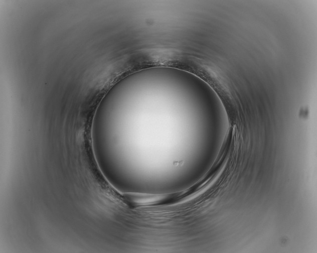 X0000091000221200708091547