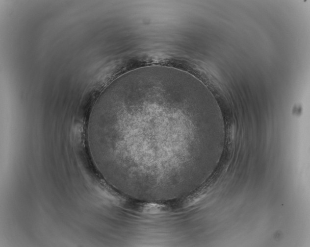 X0000091000222200708091547