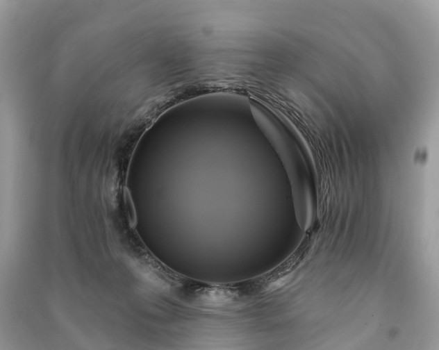 X0000091000223200708091547
