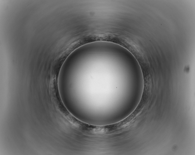 X0000091000225200708091547