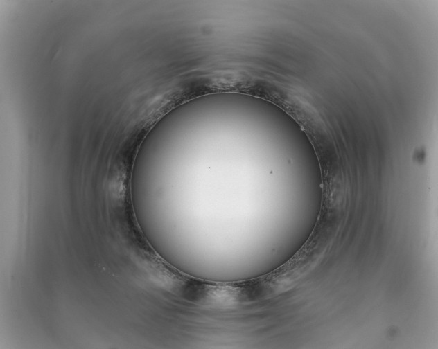 X0000091000226200708091547