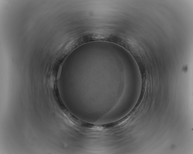 X0000091000227200708091547