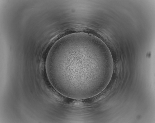 X0000091000228200708091547