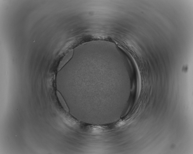 X0000091000229200708091547