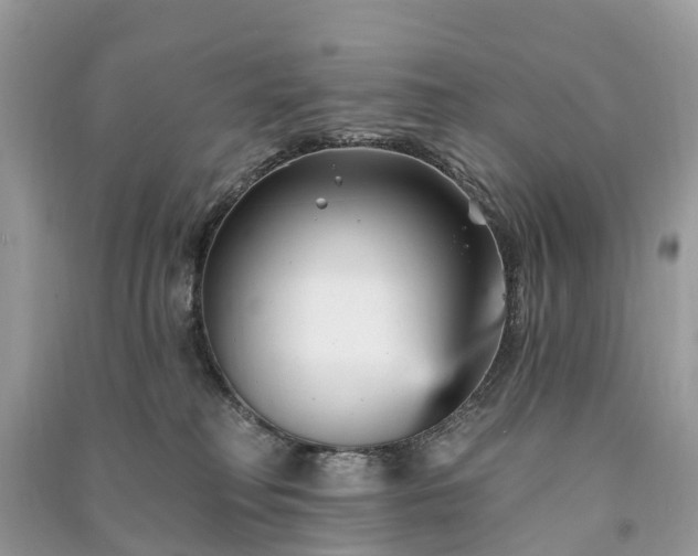 X0000091000230200708091547