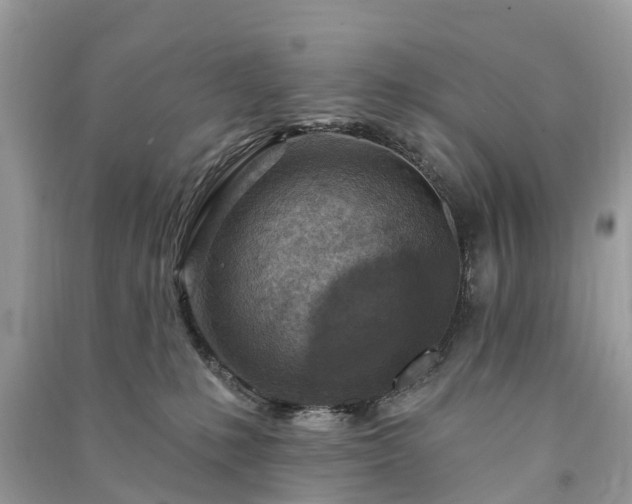 X0000091000231200708091547
