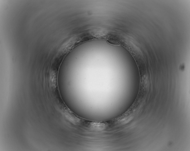 X0000091000234200708091547