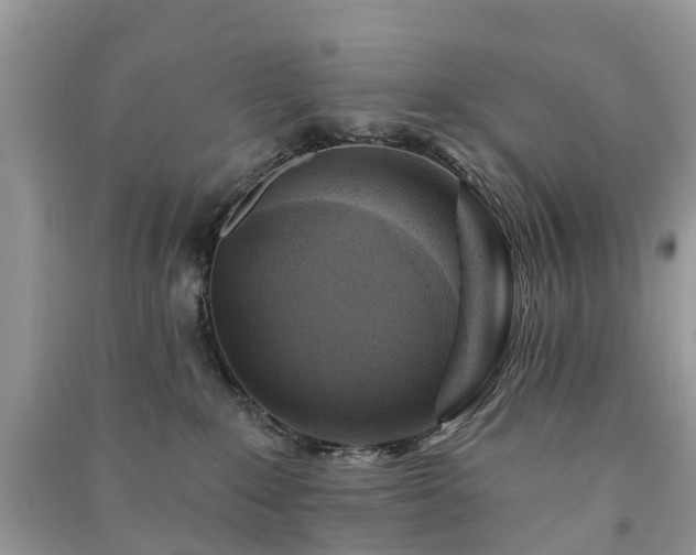 X0000091000235200708091547