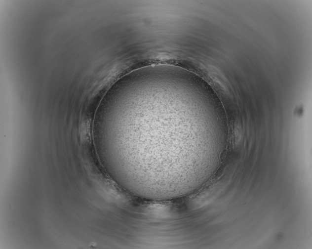 X0000091000236200708091547