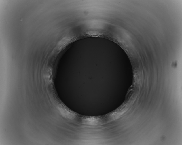 X0000091000237200708091547