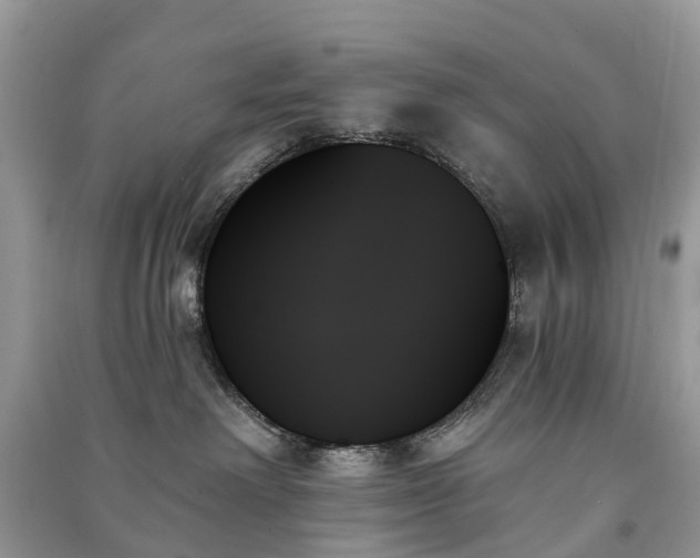 X0000091000238200708091547