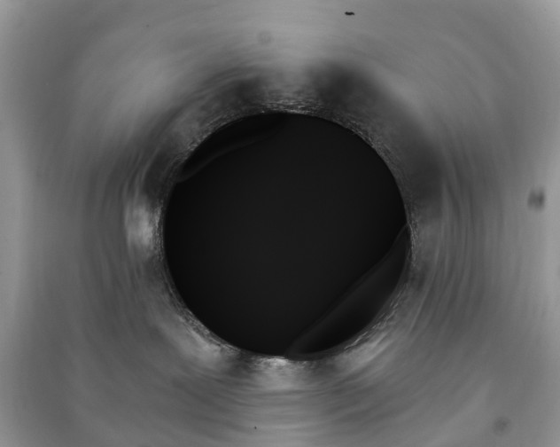 X0000091000239200708091547
