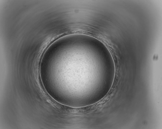X0000091000241200708091546