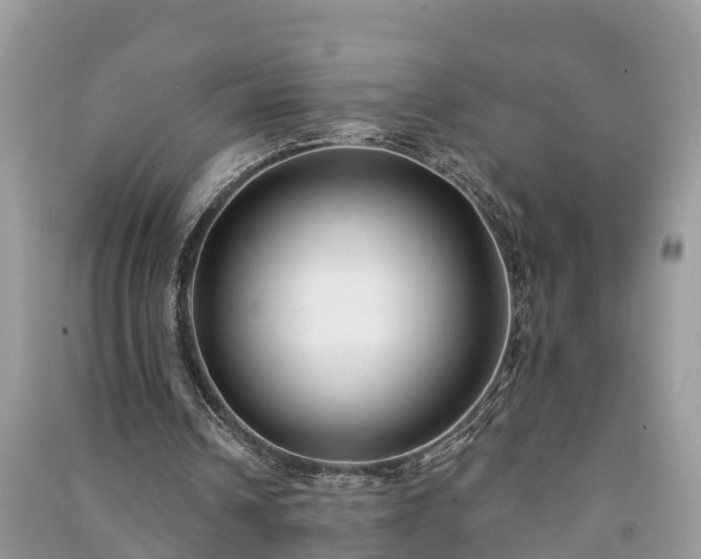 X0000091000242200708091546