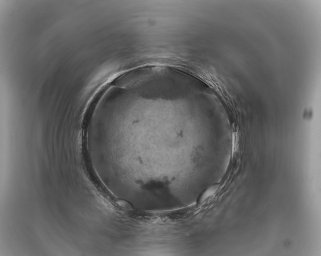 X0000091000243200708091546