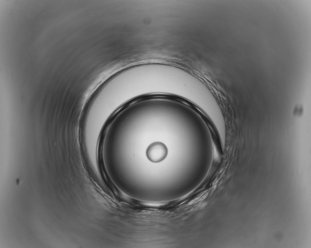 X0000091000244200708091546