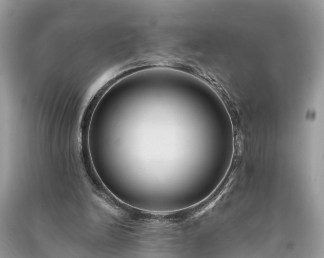 X0000091000246200708091546