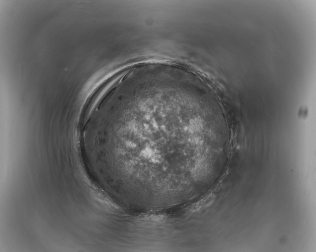 X0000091000247200708091546