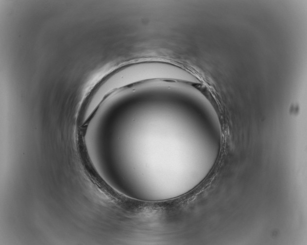 X0000091000248200708091546