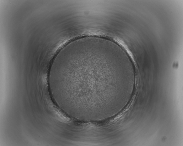 X0000091000249200708091546