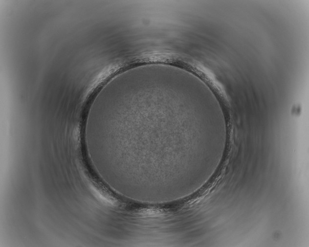 X0000091000250200708091546