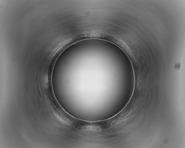 X0000091000251200708091546