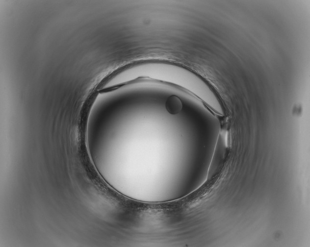 X0000091000252200708091546