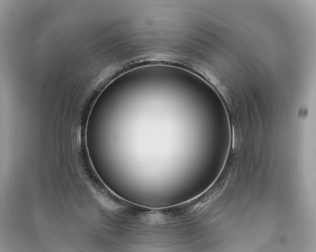 X0000091000253200708091546