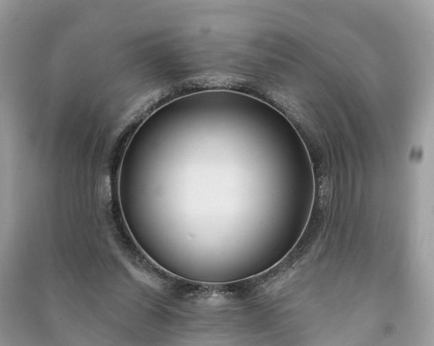X0000091000254200708091546