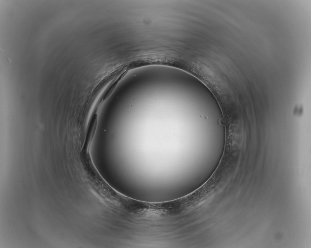 X0000091000255200708091546