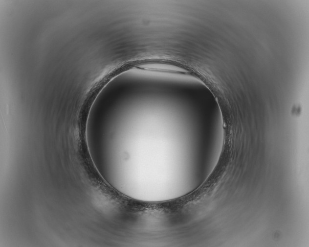 X0000091000256200708091546