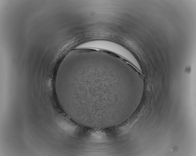 X0000091000258200708091546