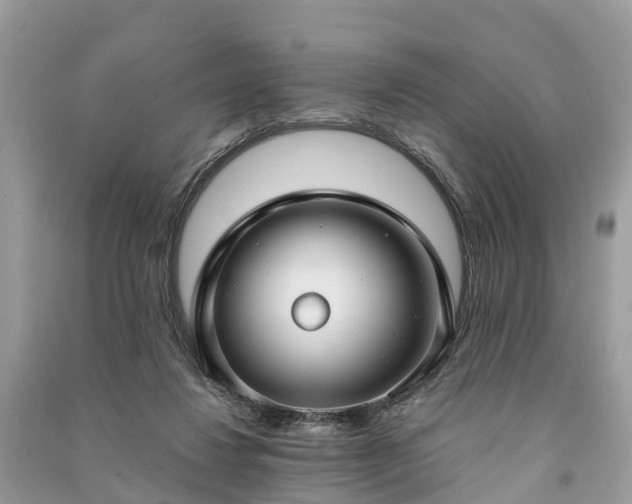 X0000091000260200708091546