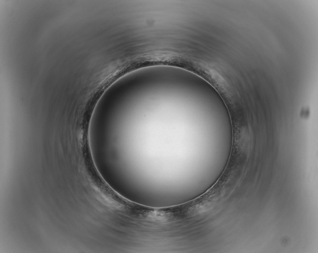 X0000091000261200708091546