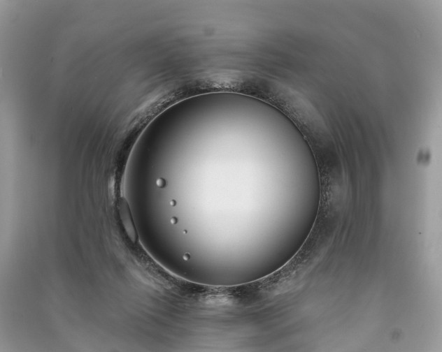 X0000091000262200708091546