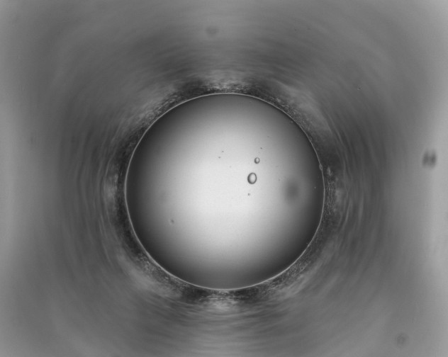 X0000091000263200708091546