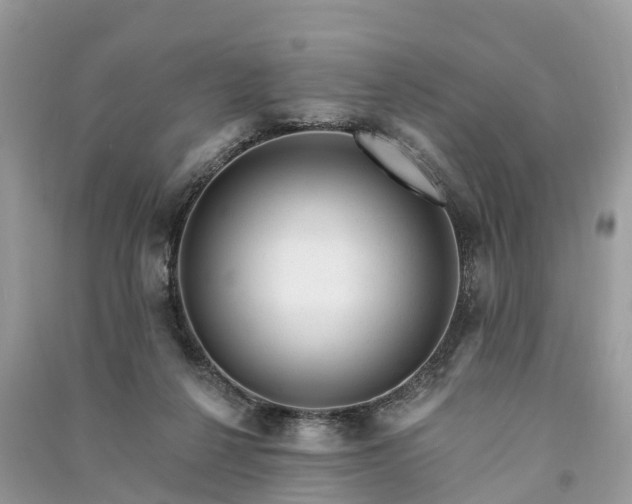 X0000091000264200708091546
